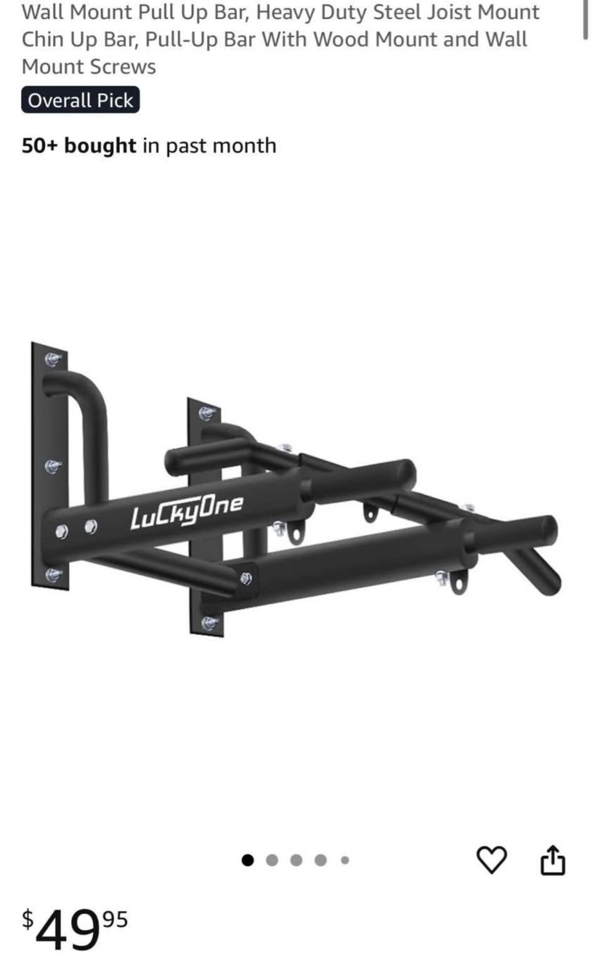 LuckyOne wall mount pull up bar