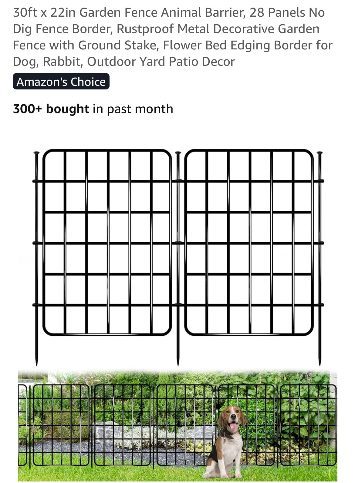 Decorative Garden Fence