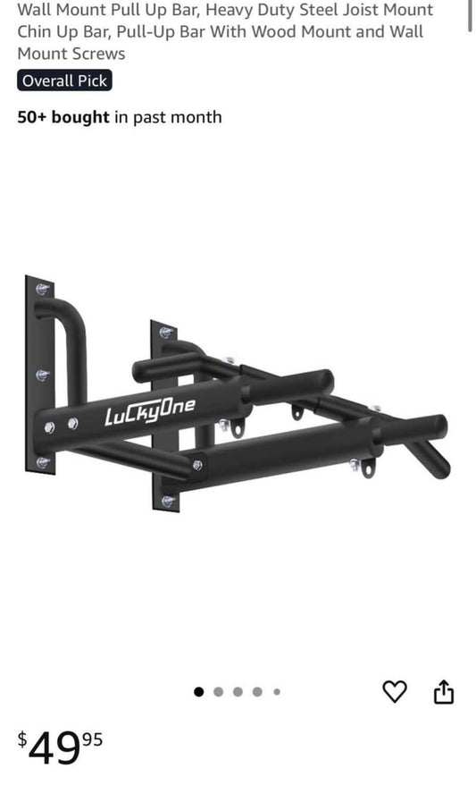 LuckyOne wall mount pull up bar