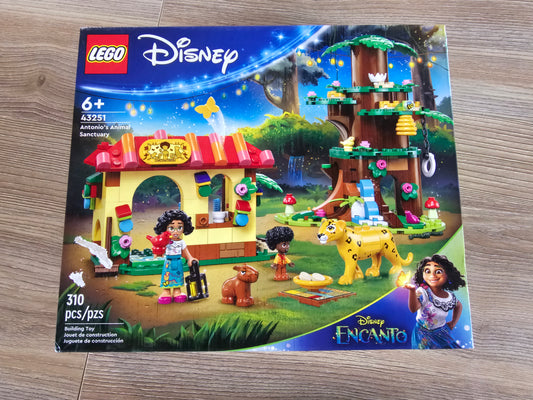 Disney Encanto Lego Set